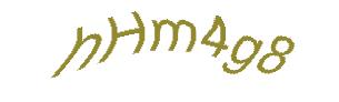 عبارت امنیتی
