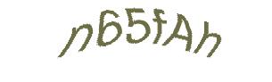 عبارت امنیتی