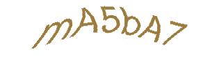 عبارت امنیتی