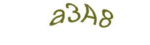 عبارت امنیتی