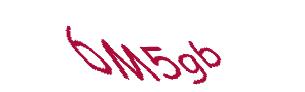 عبارت امنیتی