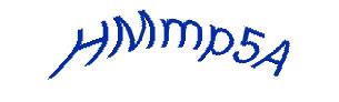 عبارت امنیتی