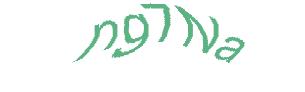 عبارت امنیتی