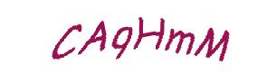 عبارت امنیتی