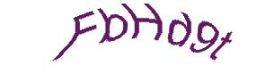 عبارت امنیتی