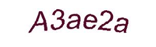 عبارت امنیتی