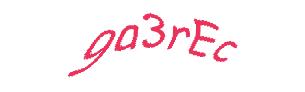 عبارت امنیتی