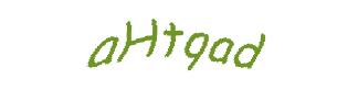 عبارت امنیتی