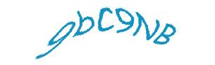 عبارت امنیتی