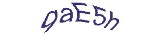 عبارت امنیتی