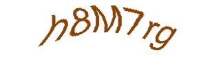 عبارت امنیتی