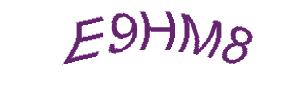 عبارت امنیتی