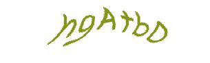 عبارت امنیتی