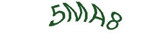 عبارت امنیتی