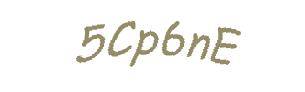 عبارت امنیتی