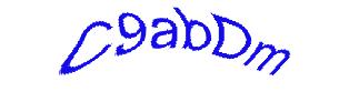 عبارت امنیتی