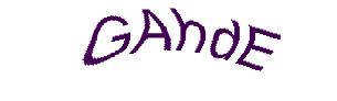 عبارت امنیتی