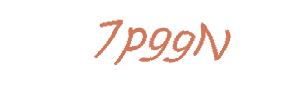 عبارت امنیتی