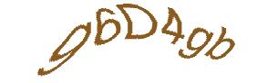 عبارت امنیتی