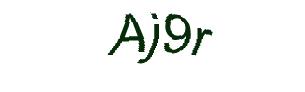 عبارت امنیتی
