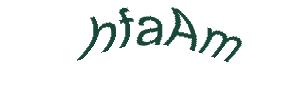 عبارت امنیتی