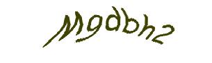 عبارت امنیتی