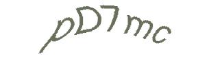 عبارت امنیتی