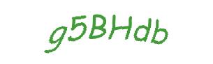 عبارت امنیتی