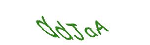 عبارت امنیتی