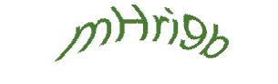 عبارت امنیتی