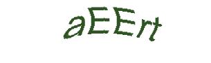 عبارت امنیتی