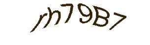 عبارت امنیتی