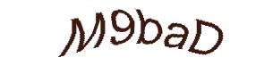 عبارت امنیتی