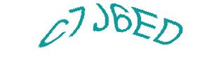 عبارت امنیتی