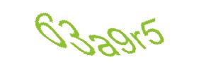 عبارت امنیتی