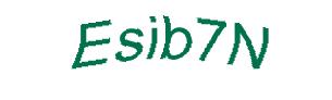 عبارت امنیتی