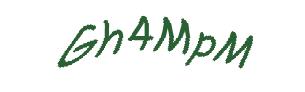 عبارت امنیتی