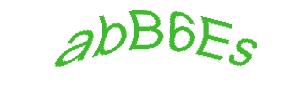 عبارت امنیتی