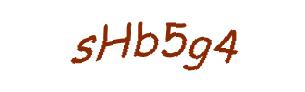 عبارت امنیتی