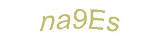عبارت امنیتی
