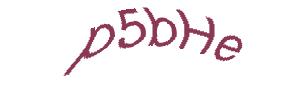 عبارت امنیتی
