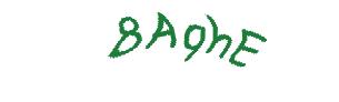 عبارت امنیتی