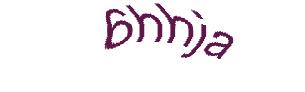 عبارت امنیتی