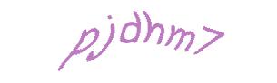 عبارت امنیتی