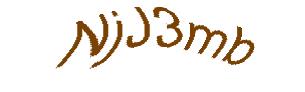عبارت امنیتی
