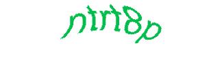 عبارت امنیتی