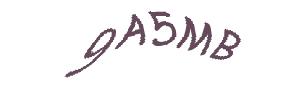 عبارت امنیتی