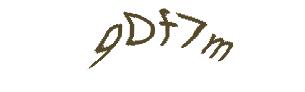 عبارت امنیتی