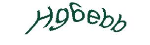عبارت امنیتی