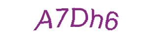عبارت امنیتی